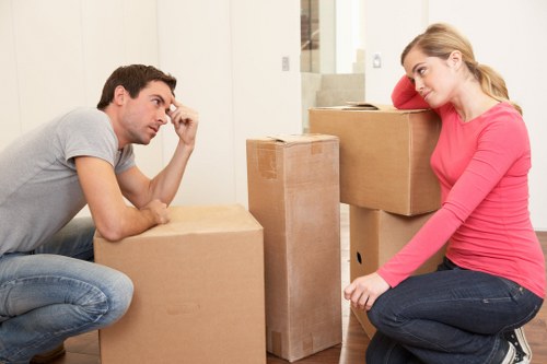 Flexible Croydon man with a van for flats, homes, and offices