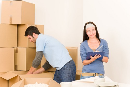 Professional removal truck service in Croydon for moving day